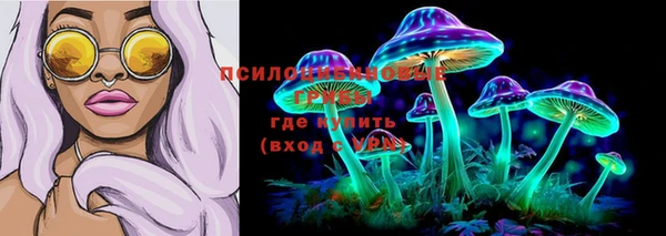 бошки Алзамай