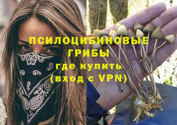 бошки Алексеевка