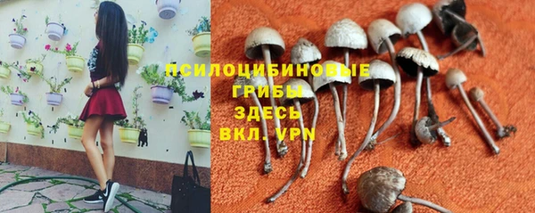 бошки Алзамай