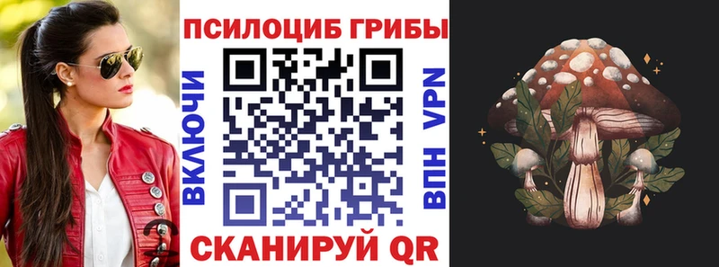 Псилоцибиновые грибы мицелий  закладка  Кола 