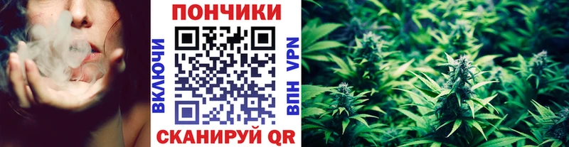 Бошки марихуана ГИДРОПОН  Кола 